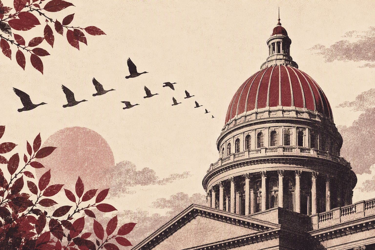Civic conservation - illustration, Jake Team LLC
